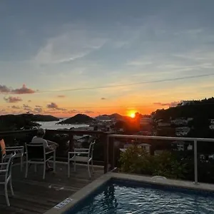  Kro The Iguana United States Virgin Islands